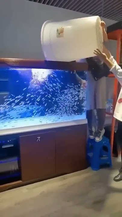 Accommodating fish 🐟