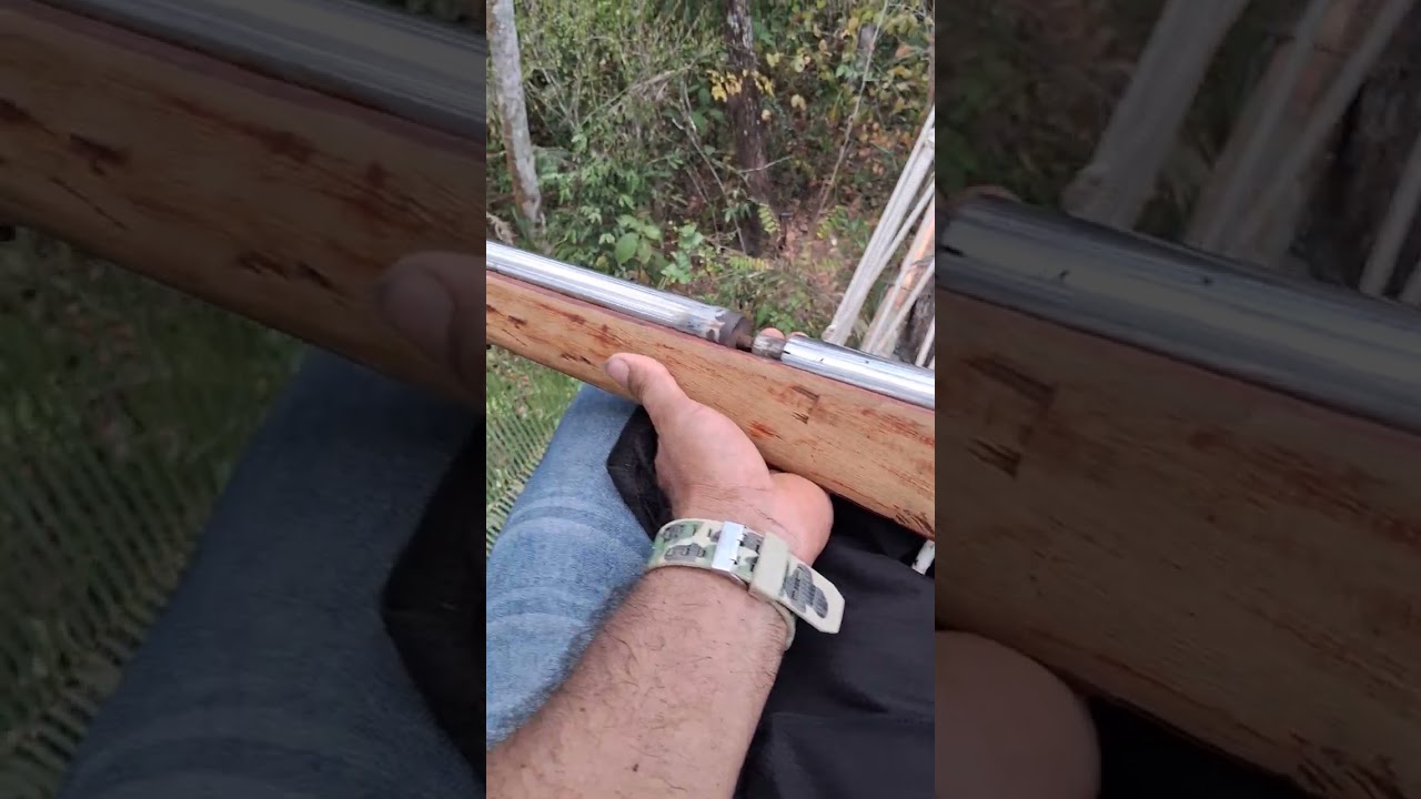 Espera na Bebida no Pé da Sapucaia. 