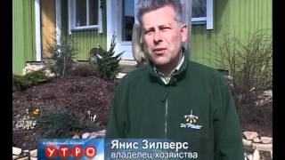 Питомник растений Pīlādži(Латвия расположена севернее стран традиционного виноградорства. Но мы можем наслаждаться пьянящим аромат..., 2012-04-23T13:12:23.000Z)