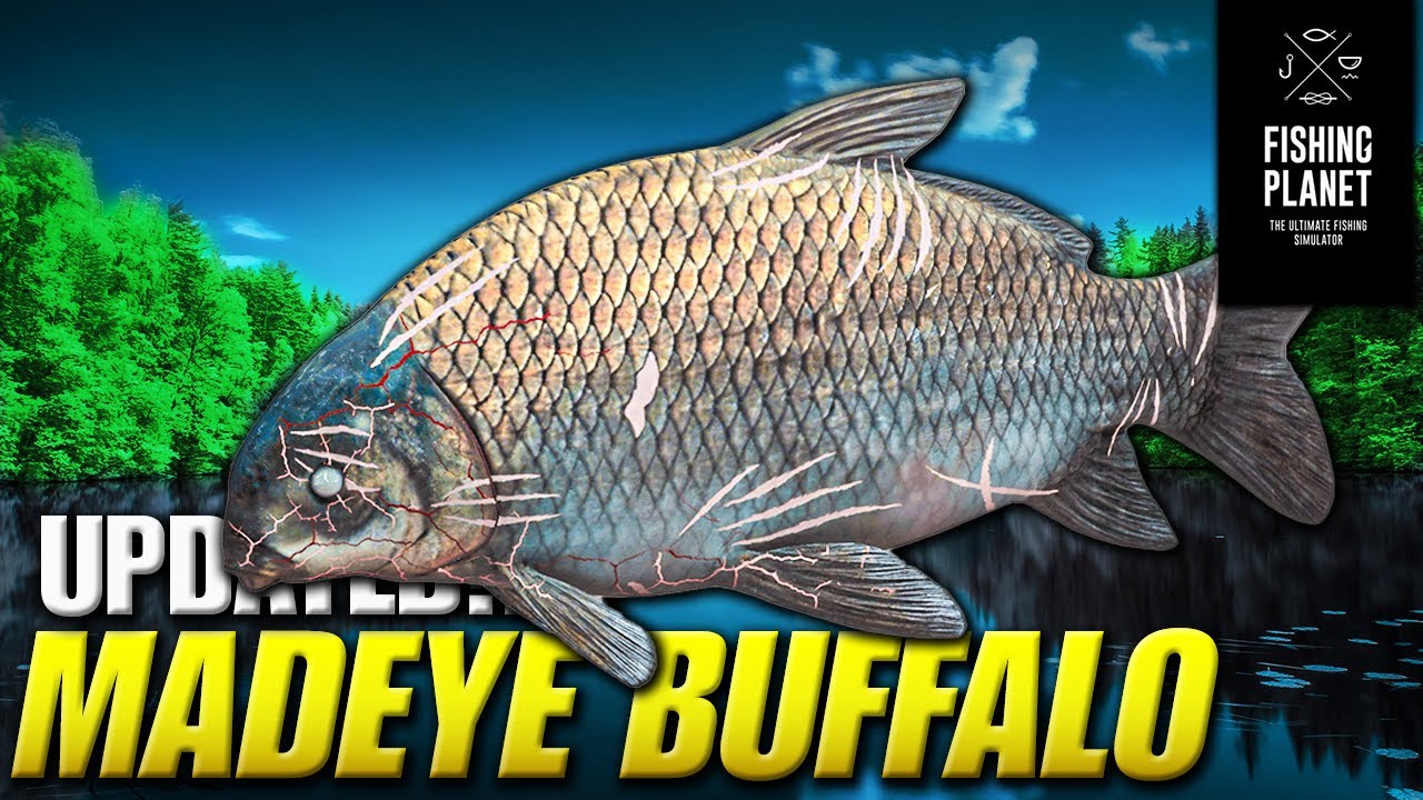 Fishing 2023 How to catch the Mad Eye Buffalo Monster Fish on