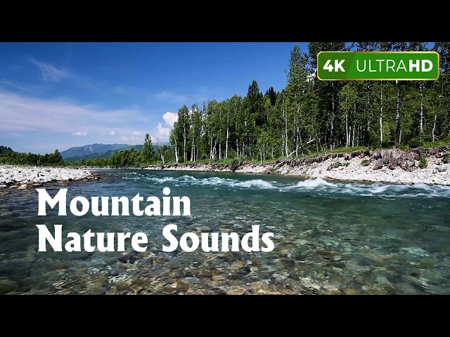 TAHI　3x2 nature sound Stream 3 Hours Nature Sounds by Relax Music | Listen online for