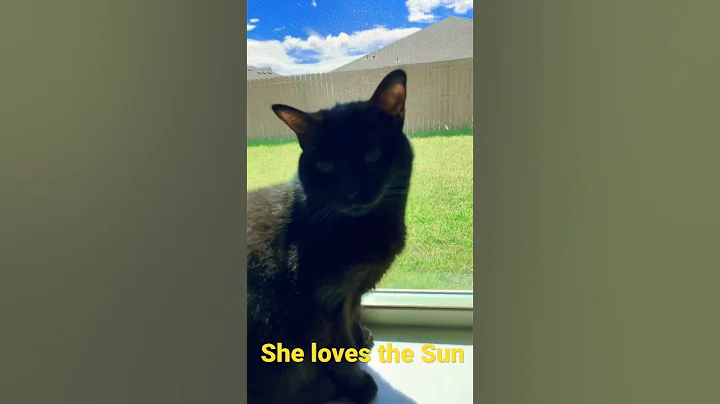 The Sun Baby