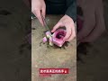 Perfect Vegetable Cutting Techniques for Creative Food Cooking