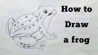 How to draw a frog | Pencil drawing