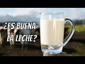 LA LECHE | Lo bueno y lo malo de la leche | Es bueno tomar leche y qué cantidades para un niño sano