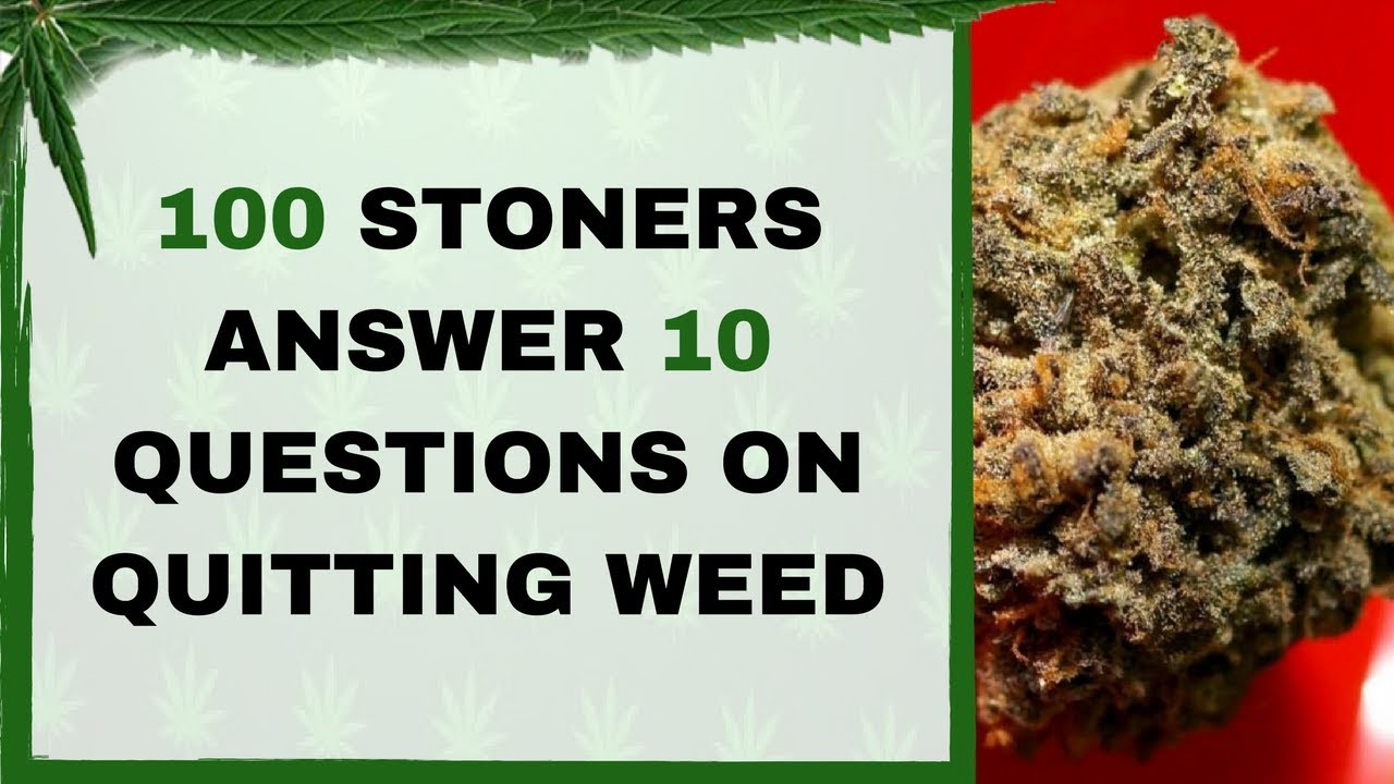 100 Weed Smokers Answer 10 Questions On Quitting YouTube