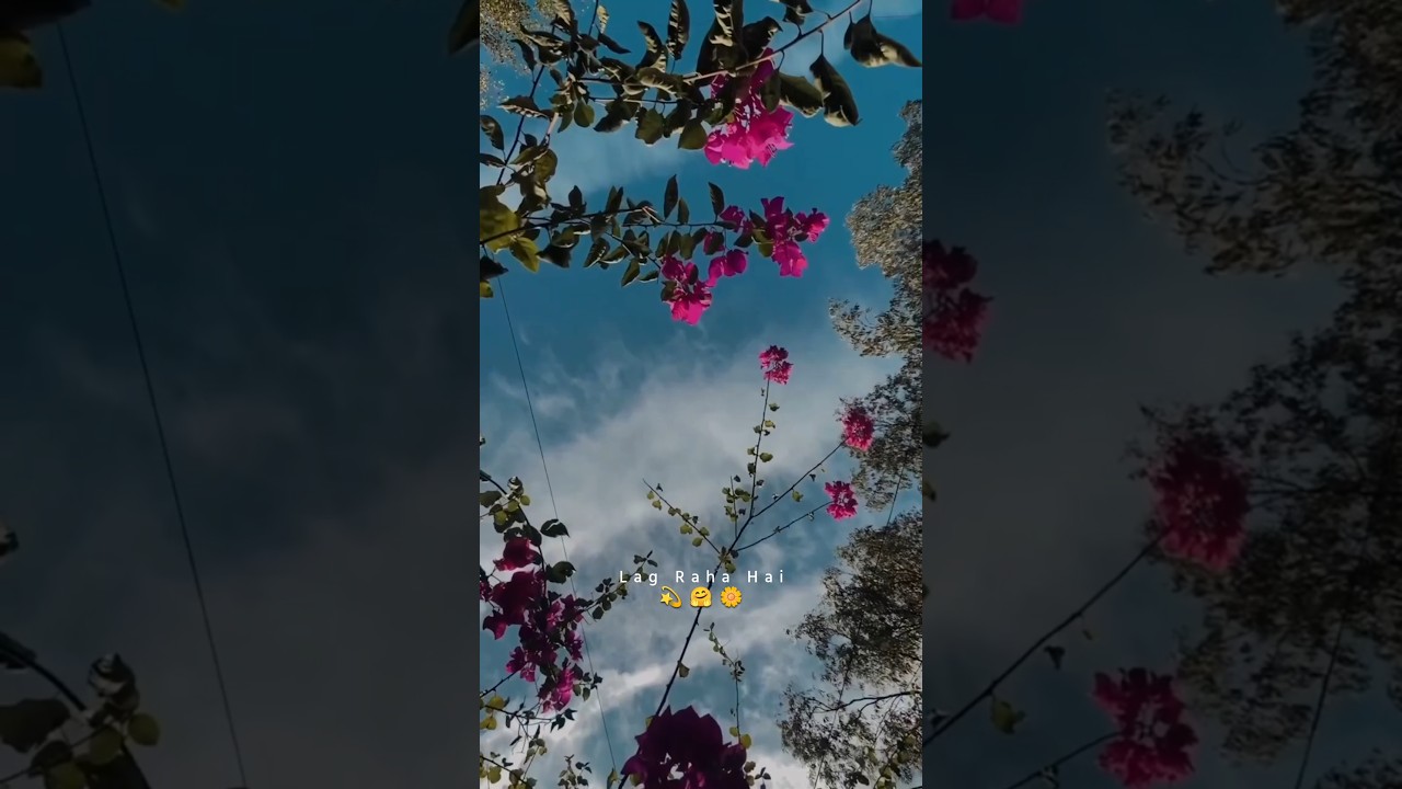 Qayde se | Arijit singh 