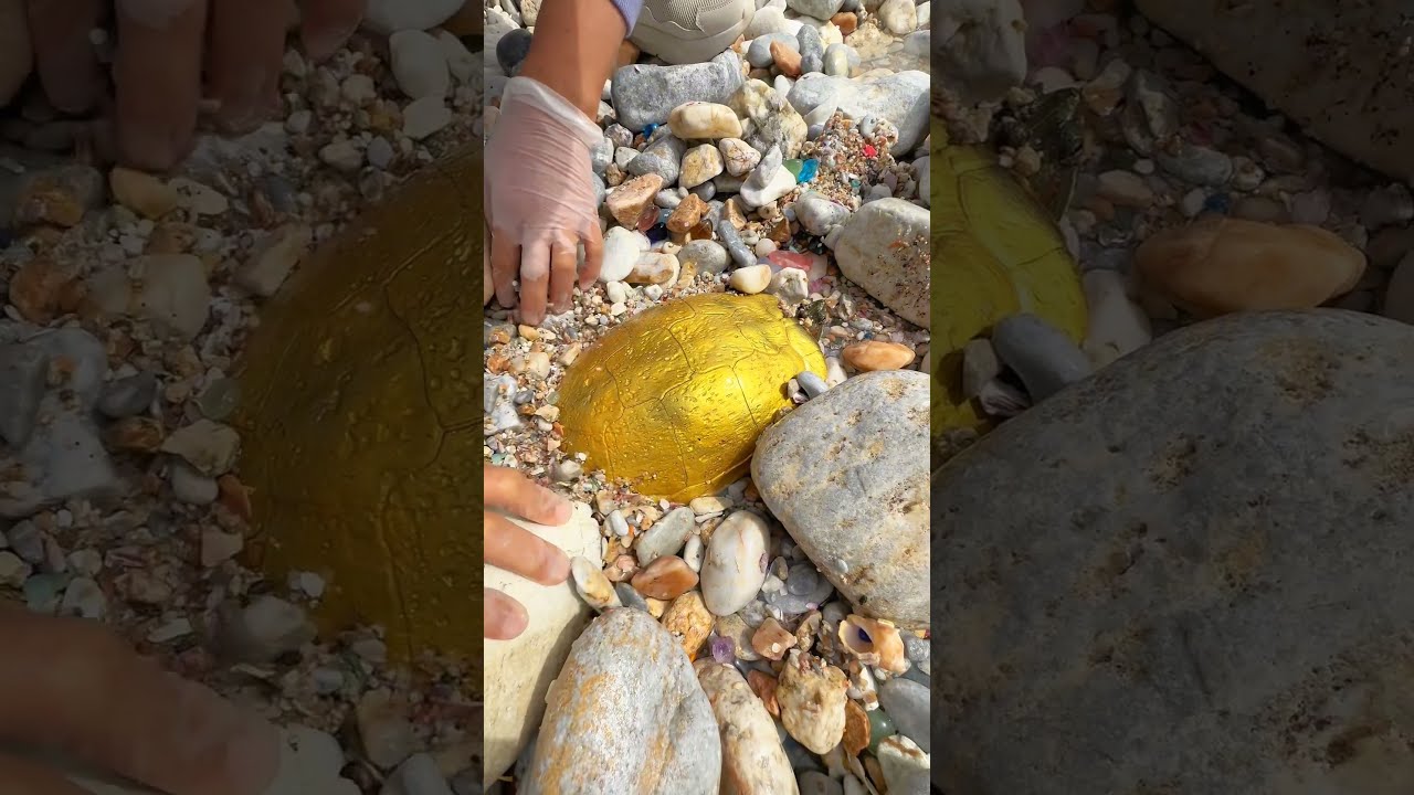 Sea Agate And Crystal Finding Hidden Treasures On The Shore Rare Pearl