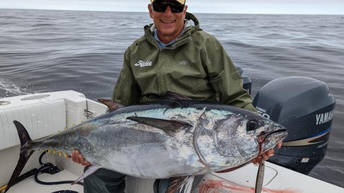 Topwater Bluefin Tuna  Hogy Charter Grade Poppers 