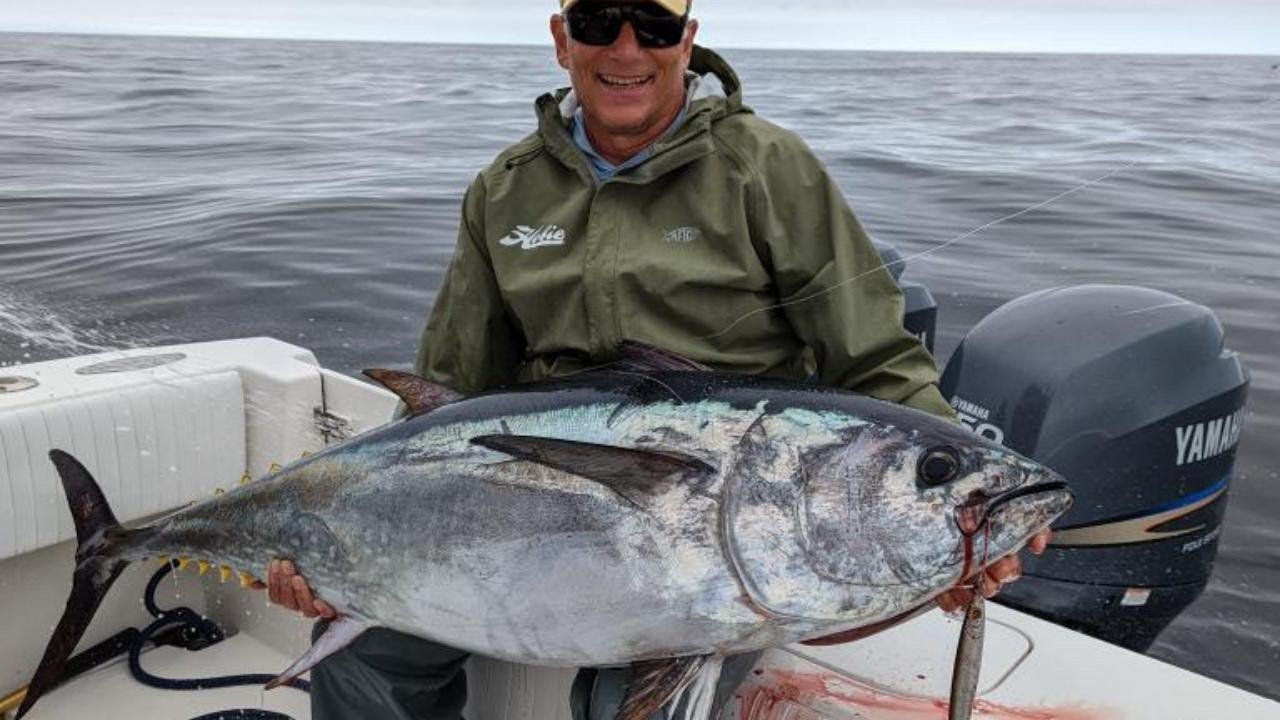 Cape Cod Canal Fishing Reports - Salty Cape