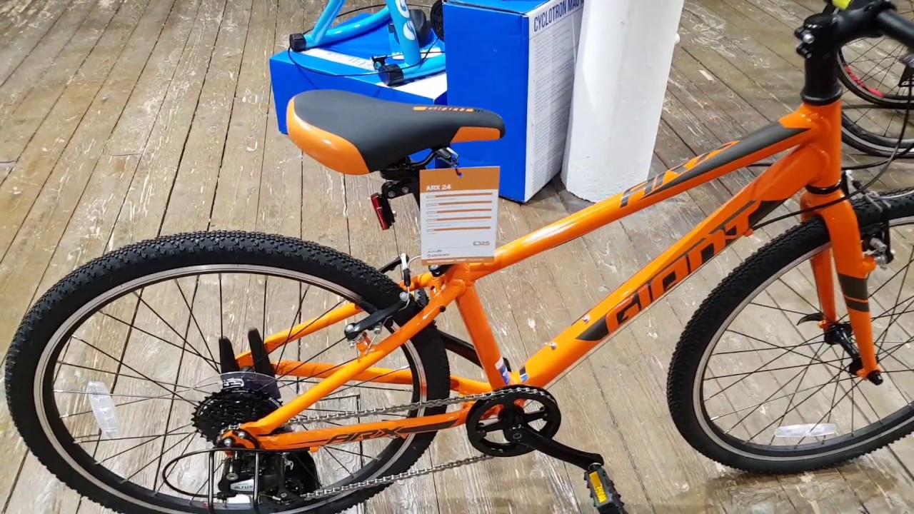 arx 24 giant