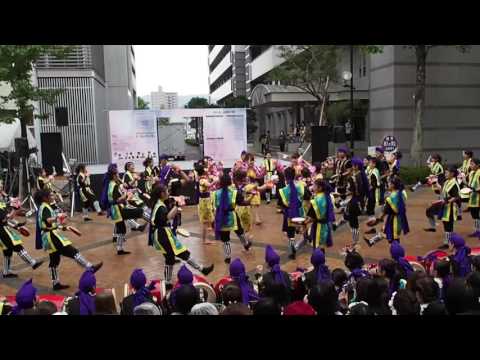 徳島文理大学2016年度 卒業生 三線の花