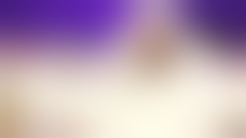 سورة العنكبوت للقارئ رعد الكردي