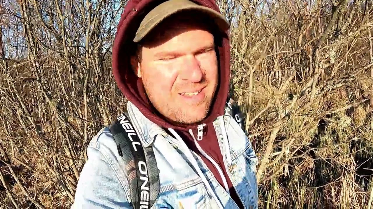 Pääsküla raba 2022