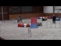 Click to View : Agility zkoušky Královice - Kofík