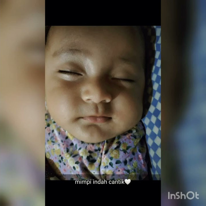 Ayun ambing