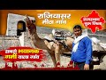 Visit Rajasthan | सबसे ज्यादा गर्मी और सर्दी वाला गांव | Rajiyasar Meetha Village