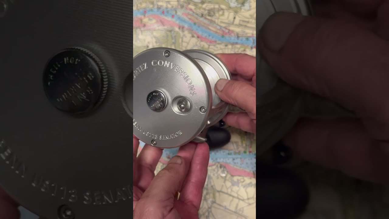 Cortez PENN Senator Conversion Fishing Reel For The Day Fish