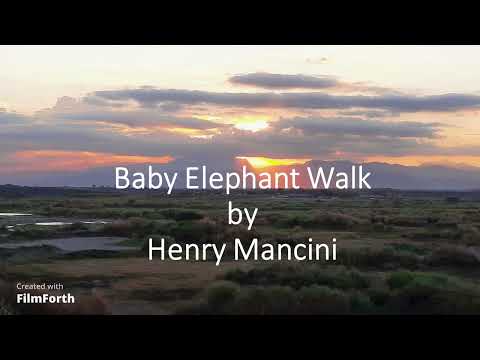 Henry Mancini -