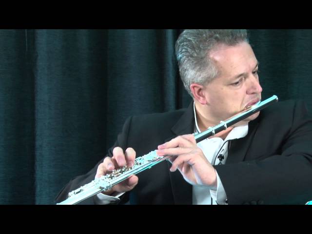 Флейта ODYSSEY Debut Flute OFL100