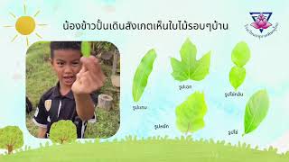 เลขที่ 3_สืบเสาะอิสระ_ป.1/3_อนุบาลพิษณุโลก