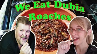 WE EAT COCKROACHES (10k sub special!)