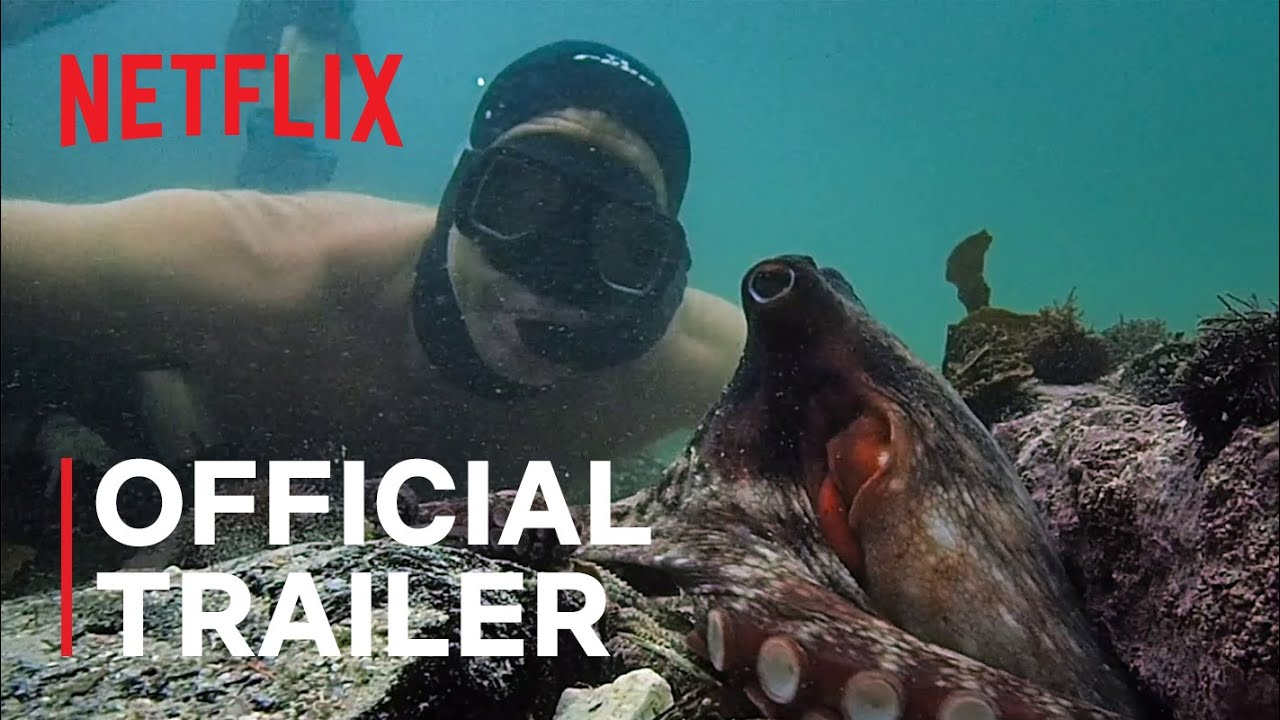 My Octopus Teacher  Official Trailer  Netflix