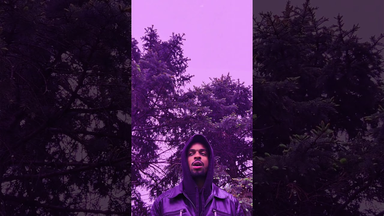 Stupid thoughts on revolve undivided.. #tariqdeshaun #rnb #ripprince