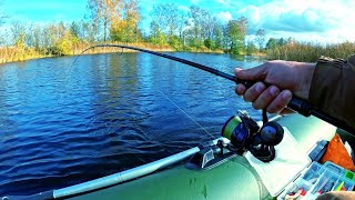 картинка: Вот она ТА САМАЯ ЗАВЕТНАЯ ПОКЛЕВКА! Осенний спиннинг!