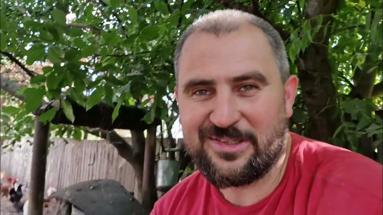 загон освободился, так мне будет легче, кого в него купить? - YouTube