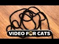 CAT GAMES Black Yarn String Videos For Cats To Watch CAT TV 1 Hour 