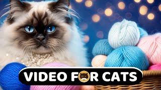 CAT GAMES - Black Yarn String. Videos for Cats to Watch | CAT TV | 1 Hour.