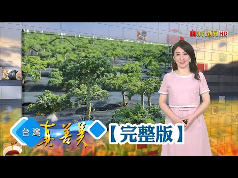 台灣-台灣真善美