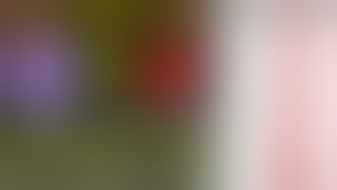 Money adder script | instant payment | Count to earn app money adder script | Technical Earning Zone