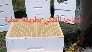 طريقة سهلة وعملية لتركيب الحاجز الملكي للعاسلة مع اجوبة مهمة للمبتدئين في تربية النحل 18/04/21
