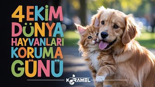 Bu Başka Bir Aşk Çeşidi - 4 Ekim Dünya Hayvanları Koruma Günü Özel Şarkısı | Karamel Müzik