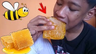 PERTAMA KALINYA MAKAN SARANG LEBAH MADU ASLI // Kok Gini Rasanya !!??