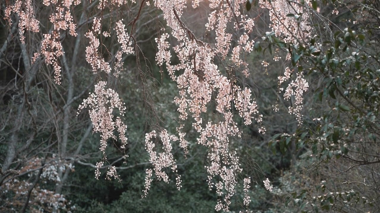 岩屋の奇岩 | 観光スポット | 【公式】福岡県の観光/旅行情報サイト