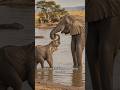 Baby Elephant Never Leaves Its Mother ❤️ #shorts #shortsfeed