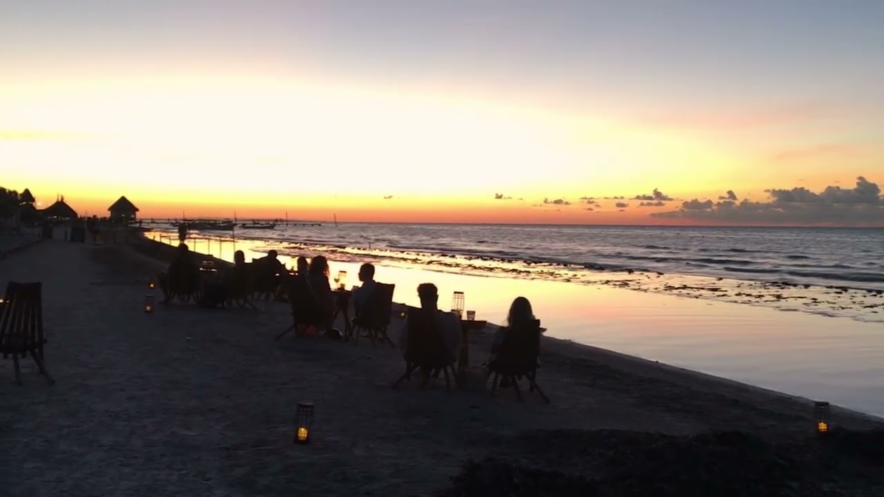 Sunny Jazz House at the Beach 🍹 | Daytime Bar Mix