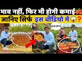          king of all vegetable tomato farming a to z indianfarmer