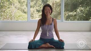 Introduction to Vinyasa Yoga