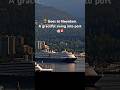 Noordam Wins Best Arrival of the Morning 🌅 | Vancouver Port with 3 Cruise Ships #cruiseship #alaska