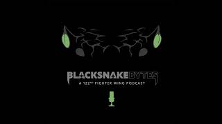 Blacksnake Bytes Ep. 8 - First Sergeant Panel