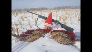 Охота на фазана. Закрытие сезона. 29 декабря 2018