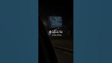 #المصحف #قرآن #لايك #اللهم #تلاوة_خاشعة #رمضان_كريم #تلاوة_هادئة #راحة_نفسية #رمضان
