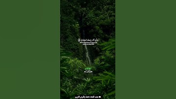 ولمن خاف مقام ربه جنتان_تلاوة عذبة بصوت الشيخ فارس عباد__quran _اكسبلور _المصحف #حالات_واتس