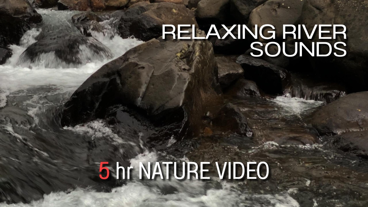 Relaxing River Sounds - Peaceful Forest River - 5 Hours Long - HD 1080p - Nature Video