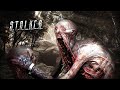 Рыжий Лес ЗАБРАЛ их. S.T.A.L.K.E.R. Ловец снов 12