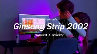 Yung Lean - Ginseng Strip 2002 /Slowed   Reverb/ 'bitches come and go brah' TikTok Song